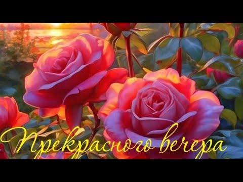 Видео: Красивого вечера💜 Радости, тепла, приятного общения💙♥️