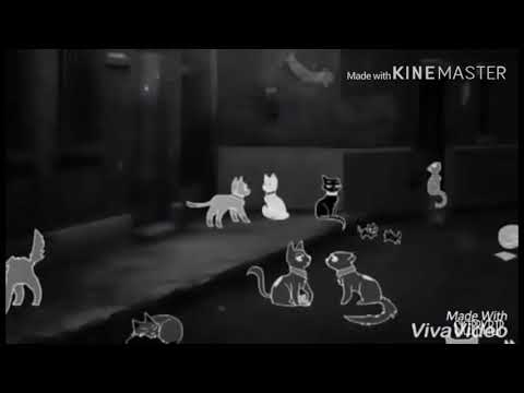 Видео: Бич~Коты-Воители_Fire!