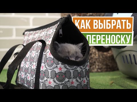 Видео: Зачем нужны сумки переноски для кошек ☘  Как выбрать сумку переноску - материал, виды, размер