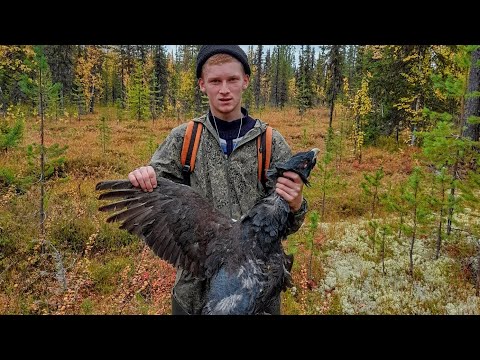 Видео: ПОХОД НА УГОДЬЯ/ ОТКРЫТИЕ ОХОТЫ НА БОРОВУЮ ДИЧЬ/ СТУПЕНЬ ОТ РАКЕТЫ
