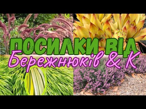 Видео: Розпаковка рослин від Бережнюків та FlowersYerchiki. Давні бажалки знайшла тут😍👆 і бюджетні рослини