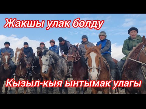 Видео: Кызыл-кыя ынтымак улагы