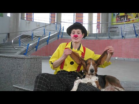 Видео: Интервью с артистами цирка. Юлий Якубовский.