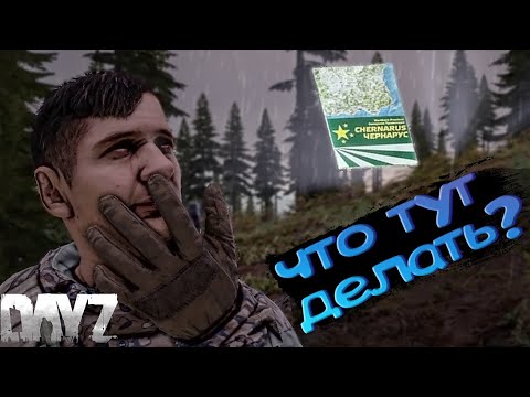 Видео: Dayz | Что должен сделать каждый игрок