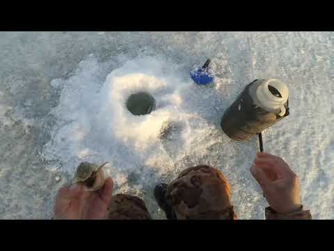 Видео: Рыбалка на Вячеславском водохранилище .29,03,2019г