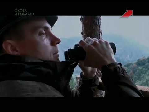 Видео: Эдуард Бендерский. Горная охота. Австрия. Альпийский козерог