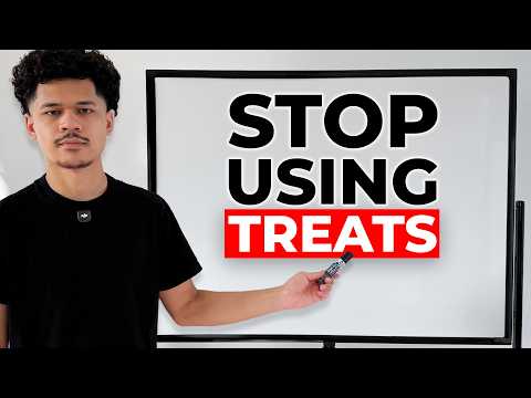 Видео: Почему ваша собака не слушается (и как это исправить)