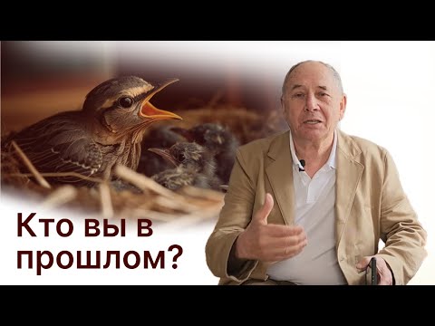 Видео: Новая реальность: Узнайте сейчас, от куда берутся истоки проблем