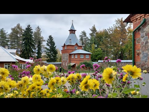 Видео: 15.10.2024. Вторник. Божественная Литургия. Прав. воина Феодора Ушакова.