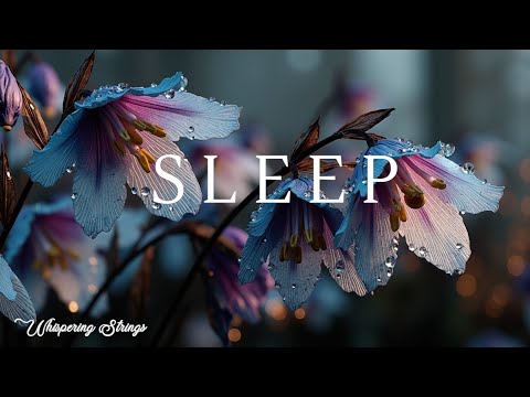 Видео: Dewy Petals Guitar Solo | Успокаивающая Акустическая Релаксация для Спокойного Утра