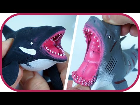 Видео: 🎁 МОРСКИЕ ХИЩНИКИ. Акула, косатка, барракуда, морской дьявол.