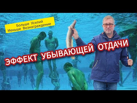 Видео: Как получить все, что тебе нужно! Закон обратной силы.