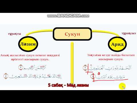 Видео: 5. Мәд ләзим