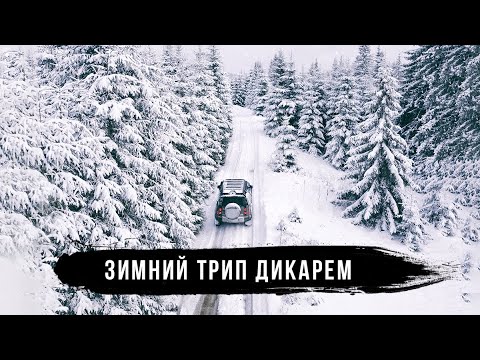 Видео: Полесье - зимнее путешествие дикарем на Land Rover Defender. Часть 2