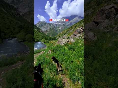 Видео: 45 секундга баткан Кыргызстан #kyrgyztan #automobile #travel #mountains #drone #military
