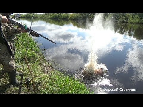 Видео: Обзор болотохода. Стреляем сазанов и ловим окуней на поплавочную удочку