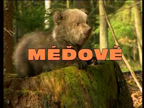 Видео: МЕДВЕЖАТА ДЕТСТВО