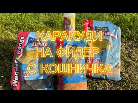 Видео: КАРАКУДИ НА ФИДЕР С КОШНИЧКА