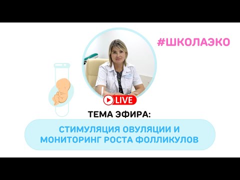 Видео: Стимуляция овуляции и мониторинг роста фолликулов (онлайн-проект Школа ЭКО)