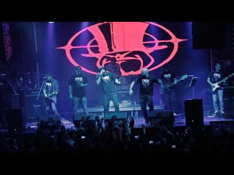 Видео: Многоточие BAND & White Hot Ice - "RASTAMAN" Live in StereoHall 26/11/2016