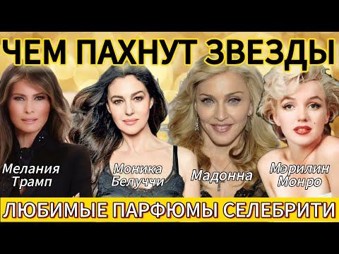 Видео: Чем пахнут звезды. Любимые ароматы звезд#beautiful #perfume #парфюмерия #beauty #