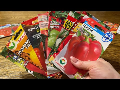 Видео: ЭТИ СОРТА ПЕРЦА БОЛЬШЕ САЖАТЬ НЕ БУДУ! Причины