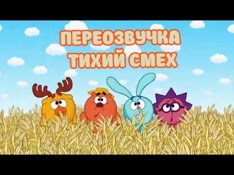 Видео: Смешарики (переозвучка Тихий смех 30-33 серий подряд!!!)