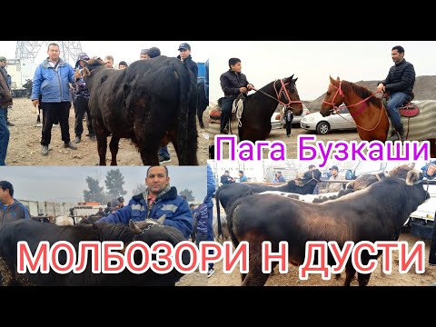 Видео: МОЛБОЗОРИ ЧОРШАНБЕ Н ДУСТИ 13.11.2024.г