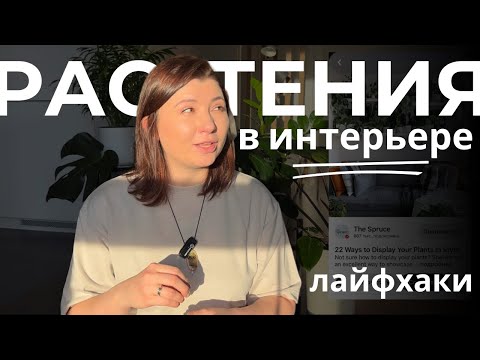 Видео: Комнатные растения в интерьере: как сочетать, где расположить, какие горшки?🌱