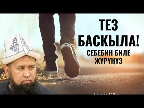 Видео: ТЕЗ БАСКЫЛА!  СЕБЕБИН БИЛЕ ЖҮРҮҢҮЗ