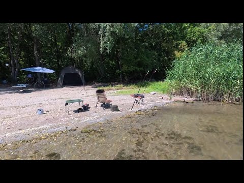Видео: РЫБАЛКА НА ПЕЧЕНЕГАХ ! НОЧЕВКА В ЧЕРНОМ ЛЕСУ ! УХА ИЗ ЛЕЩА ! ПОДЛЕЩИК НА ПРУЖИНУ ! АВГУСТ 2025 ! 