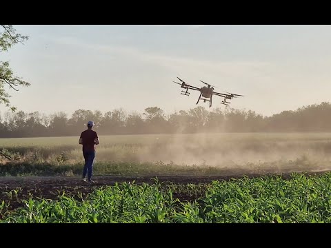 Видео: АгроКоптер DJI T30 против Опрыскивателя ТУМАН 3