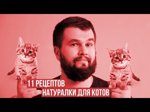 Видео: 11 рецептов натурального питания для котов