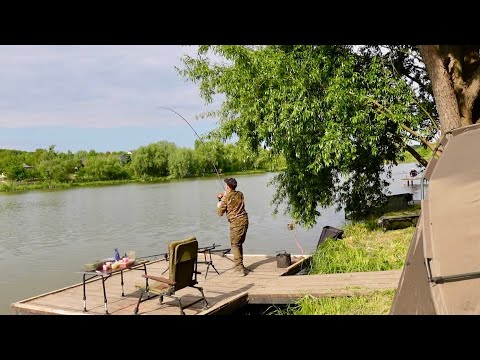 Видео: Дві ночі на озері із підписником! Рибалка на самі топові бойли у світі! Наловили мішок коропів!