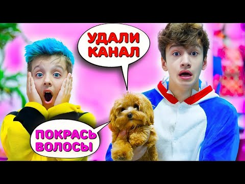 Видео: МОЯ СОБАКА УПРАВЛЯЕТ  НАШИМ ДНЁМ !!