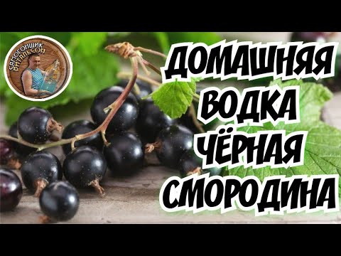 Видео: Домашняя водка "ЧЁРНАЯ СМОРОДИНА"  на медных тарелках DomSpirt 2 / Мацерат из чёрной смородины.