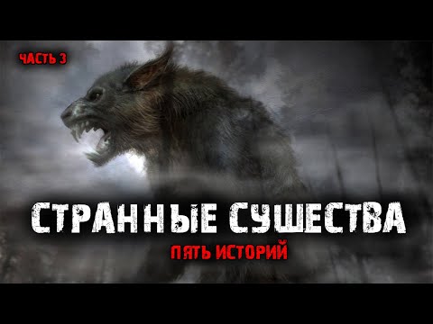 Видео: Странные существа (5в1) Выпуск №3.