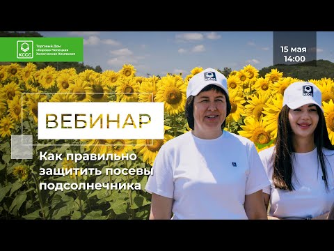 Видео: Как правильно защитить посевы подсолнечника