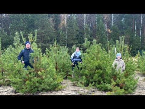 Видео: Железнодорожник 26.10.2025