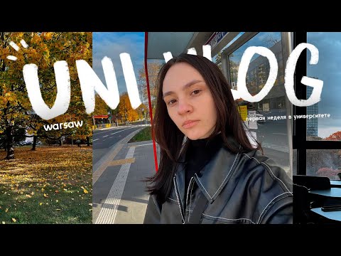 Видео: первая учебная неделя студента в польше ! ужасный провал на сессии