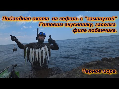 Видео: Подводная охота на кефаль с "заманухой" в Черном море. Солим филе лобана, очень вкусно!!)))))