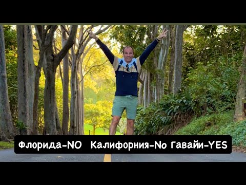 Видео: В одиночку по Америке🇺🇸! 4К! Что объединяет Аляску и Гавайи?