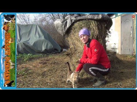 Видео: ГРУСТНАЯ ПРАВДА ЖИЗНИ, ОН УШЁЛ И НЕ ВЕРНУЛСЯ