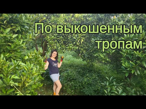 Видео: Дом в Грузии. Часть 5