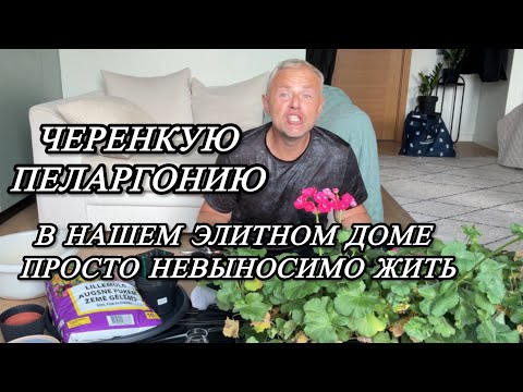 Видео: Соседи переср@лись в хлам. Соседка Мария не вынесла эмоционального давления, а у меня цветочки. 