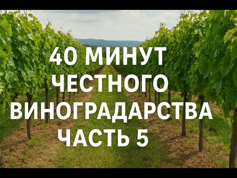Видео: 40 Минут честного виноградарства  Часть 5   Отвечаю на ваши вопросы