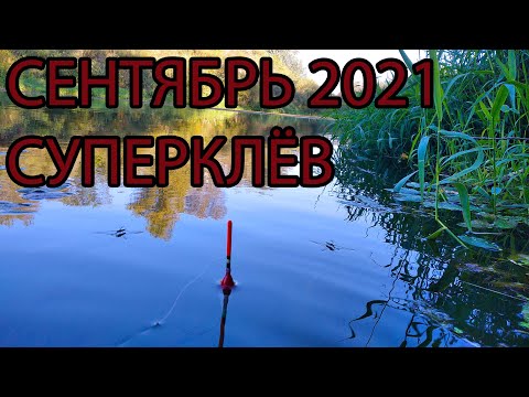 Видео: Первая рыбалка в сентябре 2021, отличный клёв на новых местах!