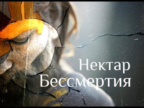 Видео: Нектар стоп Господа - Нисаргадатта Махарадж. Нектар Бессмертия