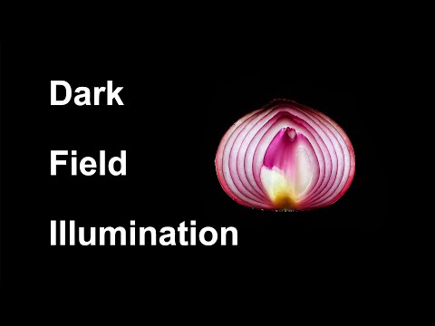 Видео: Фотографирование полупрозрачных объектов