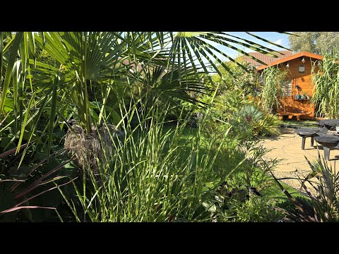 Видео: Тур по тропическим садам Великобритании в сентябре 2025 г.